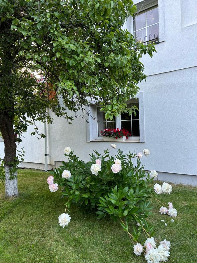 Apartamenty Stokrotka Lądek-Zdrój Eksteriør bilde